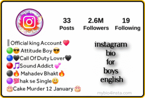 Instagram Bio For Boys