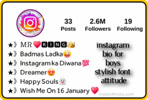 Instagram Bio For Boys