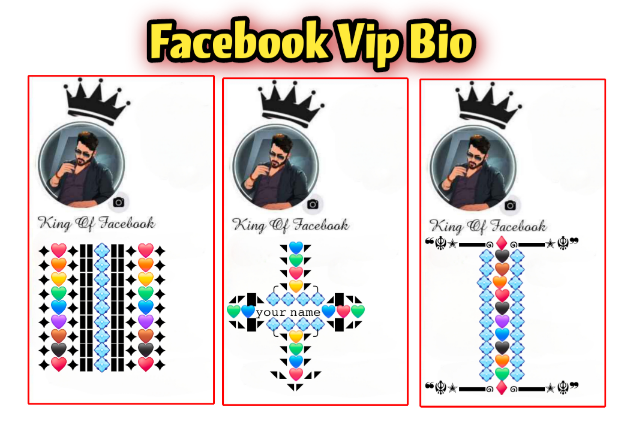 Facebook Vip Bio