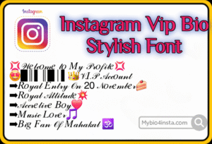 Instagram Vip Bio Stylish Font