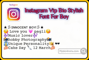Instagram Vip Bio Stylish Font