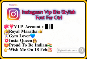 Instagram Vip Bio Stylish Font