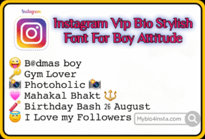 Instagram Vip Bio Stylish Font