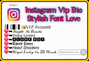 Instagram Vip Bio Stylish Font