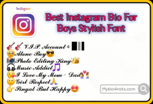 Instagram Vip Bio Stylish Font
