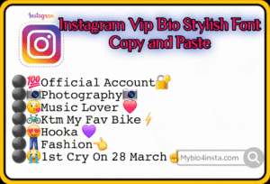 Instagram Vip Bio Stylish Font