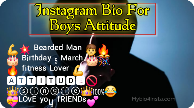 Instagram Bio For Boys Attitude