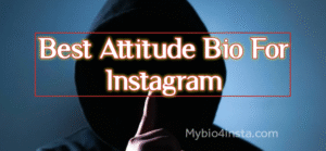 Instagram Bio For Boys Attitude