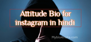 Instagram Bio For Boys Attitude