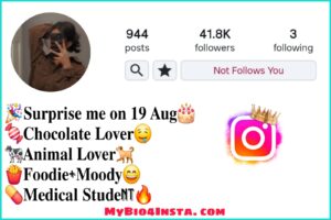 Instagram Bio For Girls