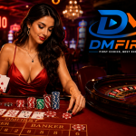 DmFirst Login – Complete Sign In Instructions