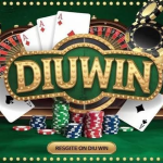 How Diuwin Personalization Can Create More Unique Digital Experiences Diuwin